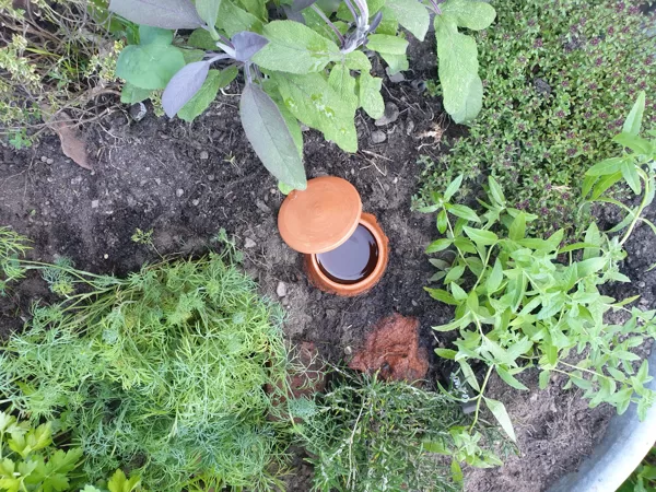 Olla & Kräuterbeet